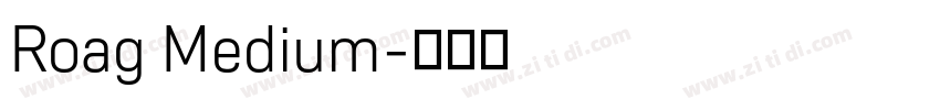 Roag Medium字体转换